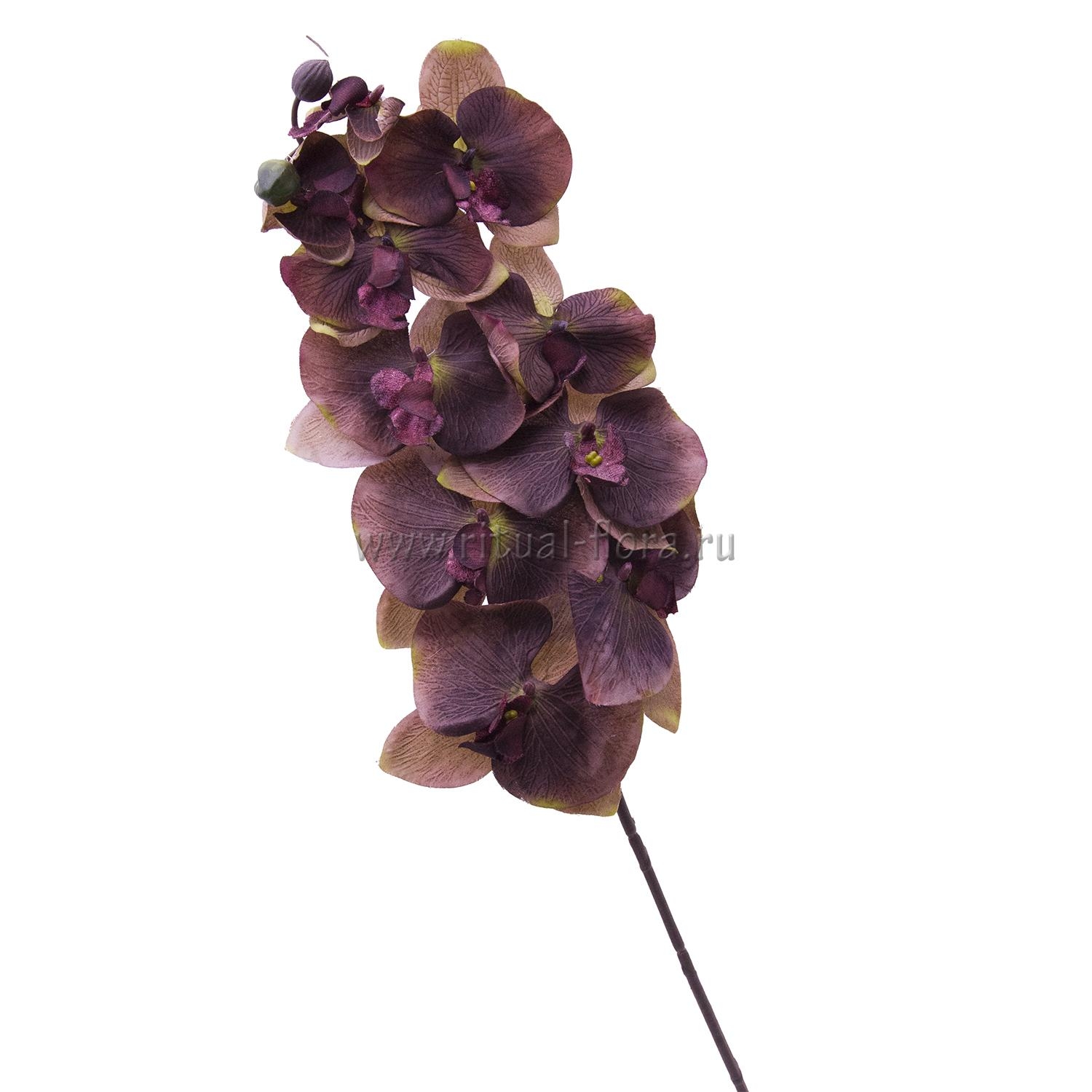 Ветка орхидеи (10шт) ВХН-11