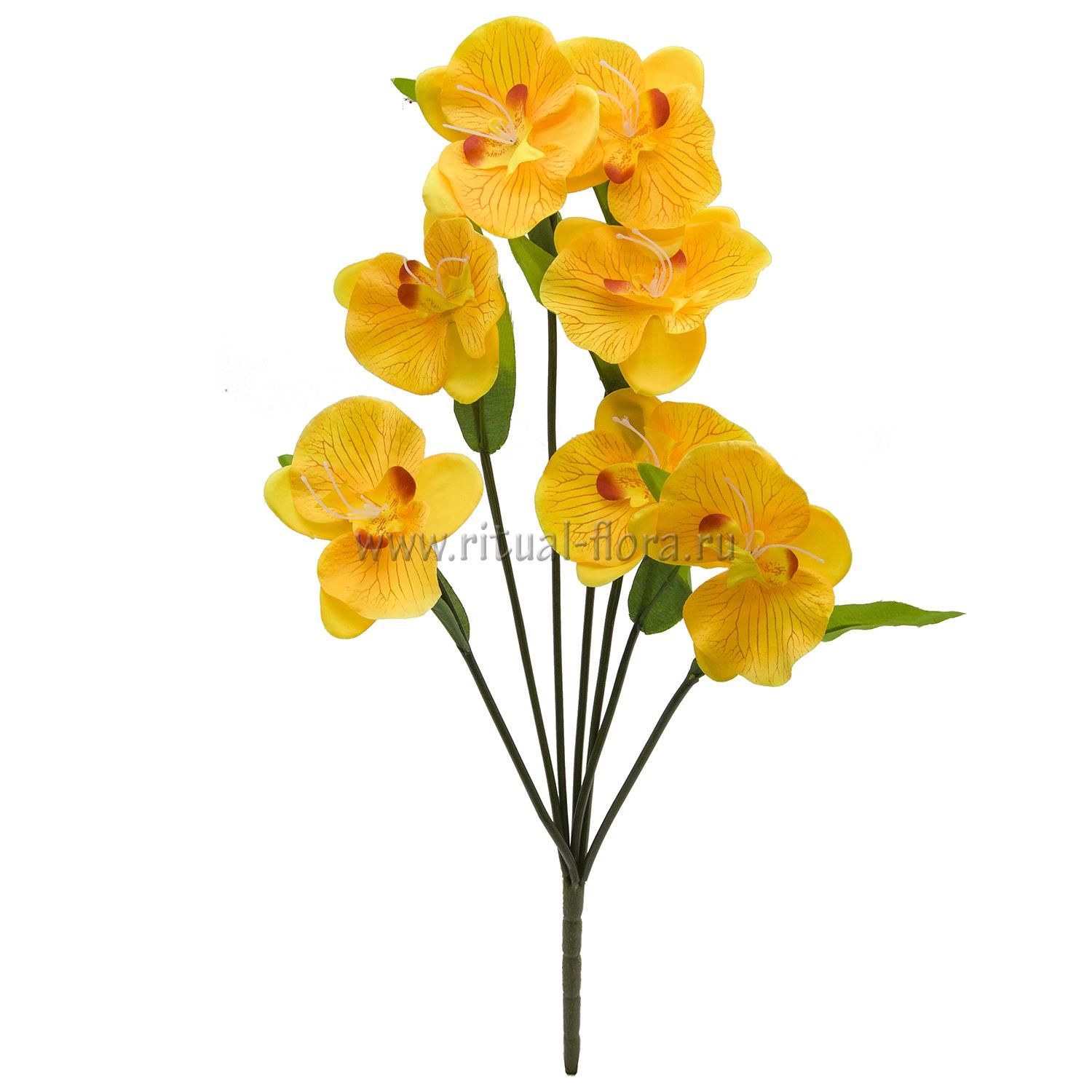 Букет орхидей 7г (20шт) БКР-018