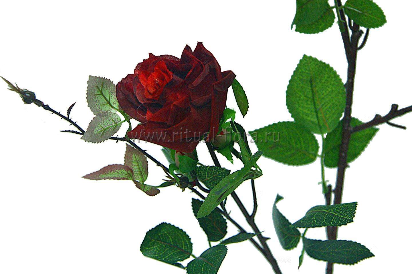 Ветка розы 3 г