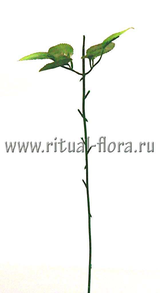 Ножка розы №13 + лист (42см)