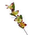 Ветка Орхидеи В-004_0