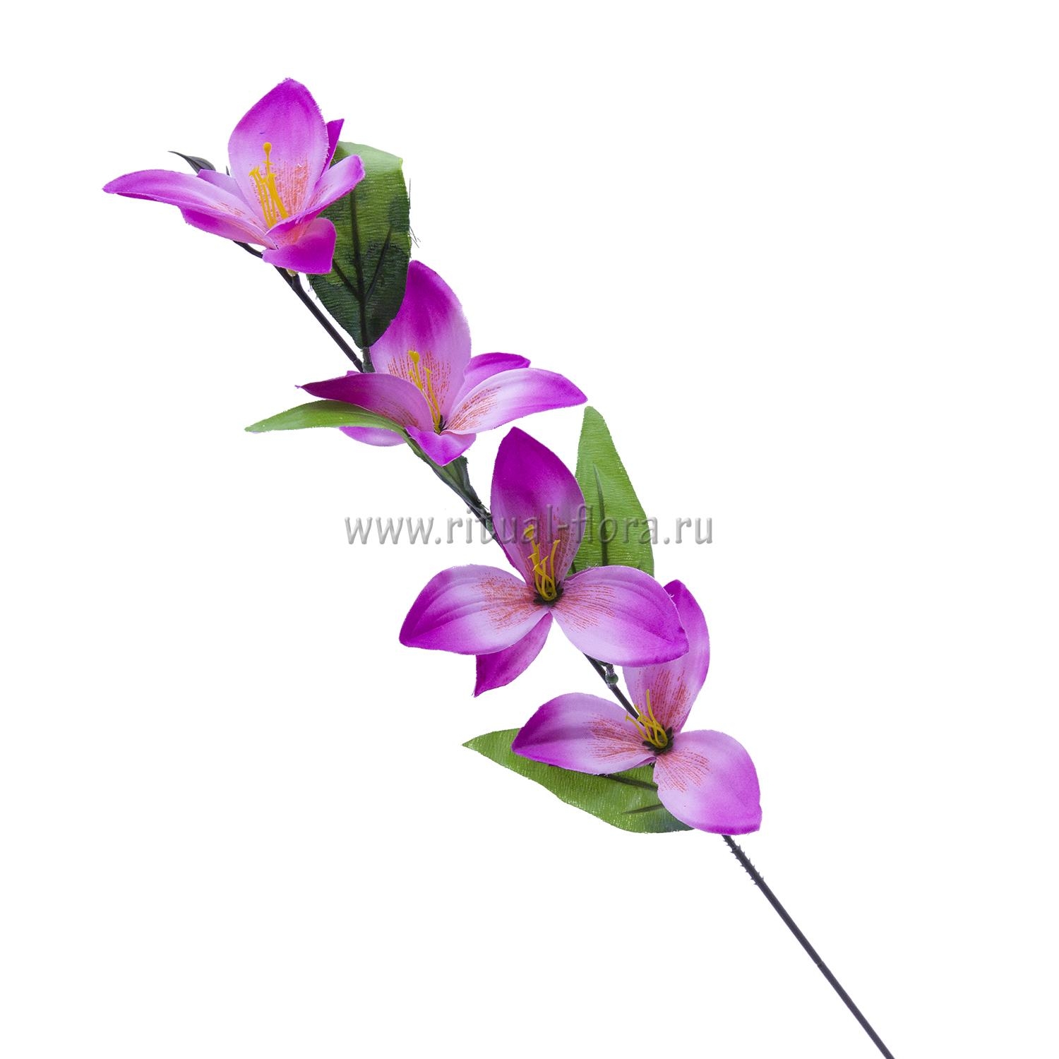 Ветка Орхидеи В-004